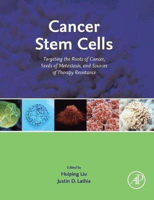 bokomslag Cancer Stem Cells