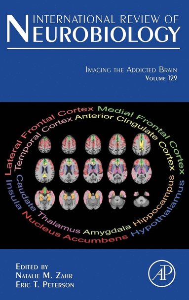 bokomslag Imaging the Addicted Brain