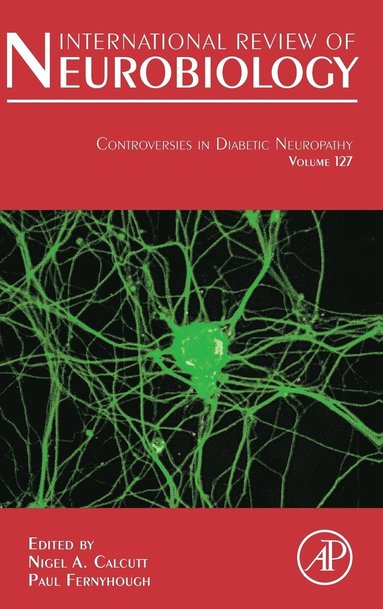 bokomslag Controversies In Diabetic Neuropathy