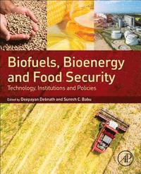 bokomslag Biofuels, Bioenergy and Food Security