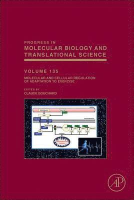 bokomslag Molecular and Cellular Regulation of Adaptation to Exercise