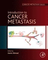 Aamir Ahmad, Aamir Ahmad - Introduction to Cancer Metastasis, Inbunden