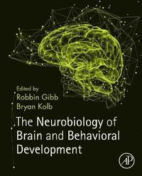 bokomslag The Neurobiology of Brain and Behavioral Development