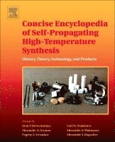 Inna P. Borovinskaya, Alexander A. Gromov, Evgeny A. Levashov, Yuri M. Maksimov, Alexander S. Mukasyan, Alexander S. Rogachev - Concise Encyclopedia of Self-Propagating High-Temperature Synthesis, Häftad