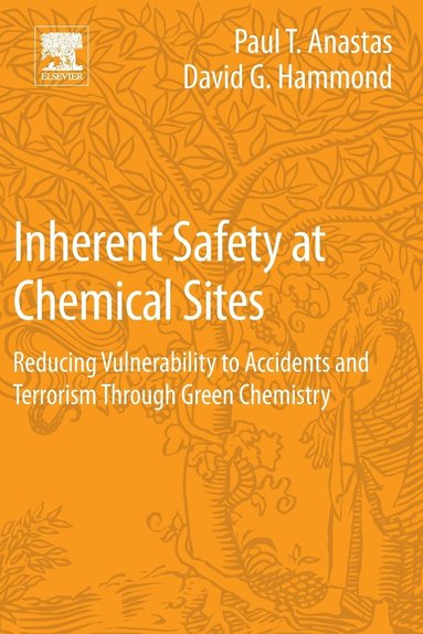 bokomslag Inherent Safety at Chemical Sites