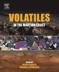 bokomslag Volatiles in the Martian Crust