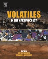 Volatiles in the Martian Crust 1