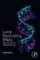 bokomslag Long Noncoding RNAs