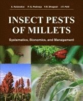 bokomslag Insect Pests of Millets