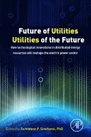Fereidoon Sioshansi, USA) Sioshansi, Fereidoon (President, Menlo Energy Economics, San Francisco, CA - Future of Utilities - Utilities of the Future, Häftad