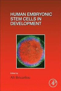 bokomslag Human Embryonic Stem Cells in Development