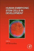 Human Embryonic Stem Cells in Development 1