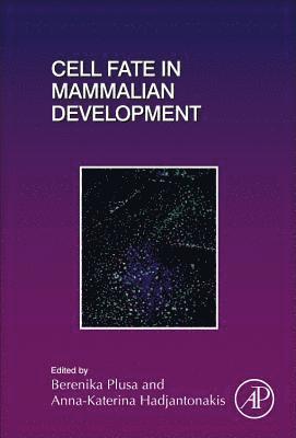 bokomslag Cell Fate in Mammalian Development