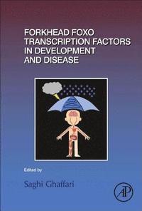 bokomslag Forkhead FOXO Transcription Factors in Development and Disease