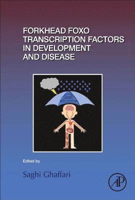 Saghi Ghaffari - Forkhead FOXO Transcription Factors in Development and Disease, Inbunden