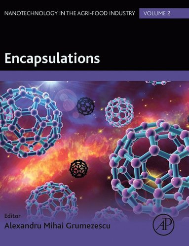bokomslag Encapsulations