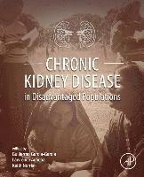bokomslag Chronic Kidney Disease in Disadvantaged Populations