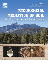 bokomslag Mycorrhizal Mediation of Soil
