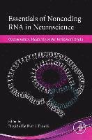 bokomslag Essentials of Noncoding RNA in Neuroscience