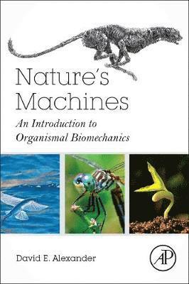 bokomslag Nature's Machines