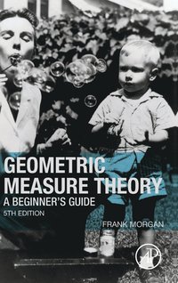 bokomslag Geometric Measure Theory