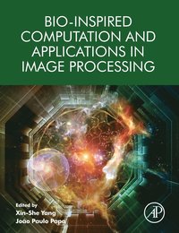 bokomslag Bio-Inspired Computation and Applications in Image Processing