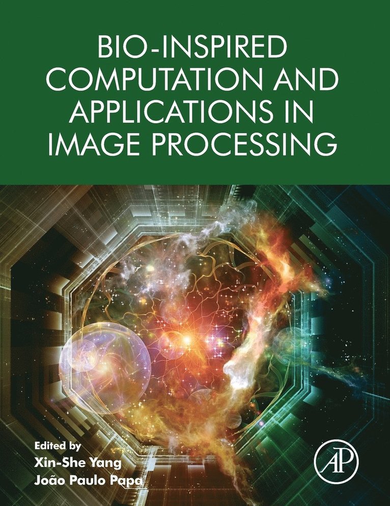Bio-Inspired Computation and Applications in Image Processing 1