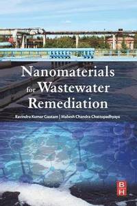 bokomslag Nanomaterials for Wastewater Remediation