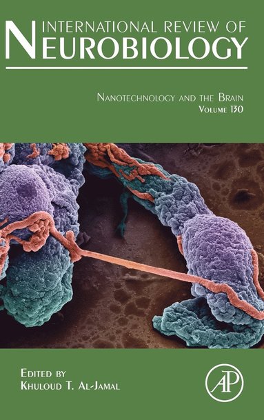 bokomslag Nanotechnology and the Brain