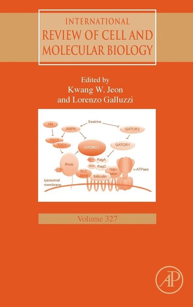 bokomslag International Review of Cell and Molecular Biology