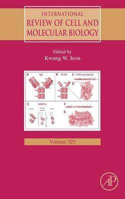 bokomslag International Review of Cell and Molecular Biology