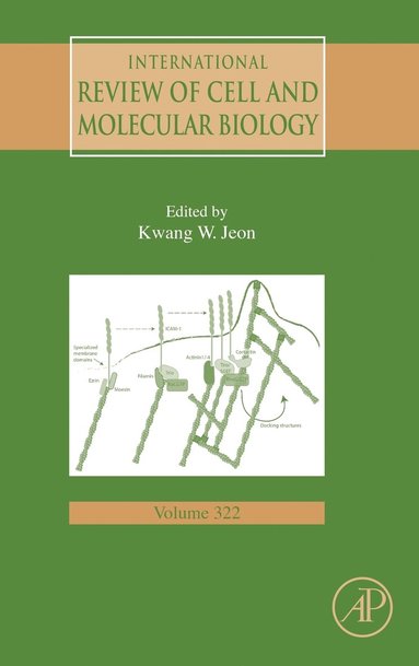 bokomslag International Review of Cell and Molecular Biology