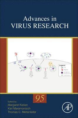 bokomslag Advances in Virus Research