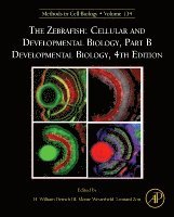 bokomslag The Zebrafish: Cellular and Developmental Biology, Part B Developmental Biology
