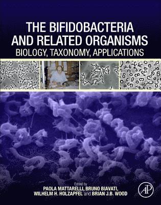 Paola Mattarelli, Bruno Biavati, Wilhelm H. Holzapfel, Brian JB Wood, Wilhelm H Holzapfel, Brian Jb Wood - The Bifidobacteria and Related Organisms, Inbunden