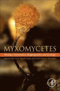 bokomslag Myxomycetes