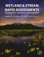 John Dorney, Rick Savage, Ralph W Tiner, Paul Adamus - Wetland and Stream Rapid Assessments, Häftad