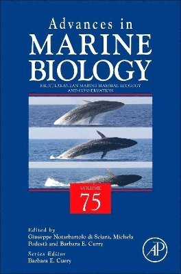 bokomslag Mediterranean Marine Mammal Ecology and Conservation