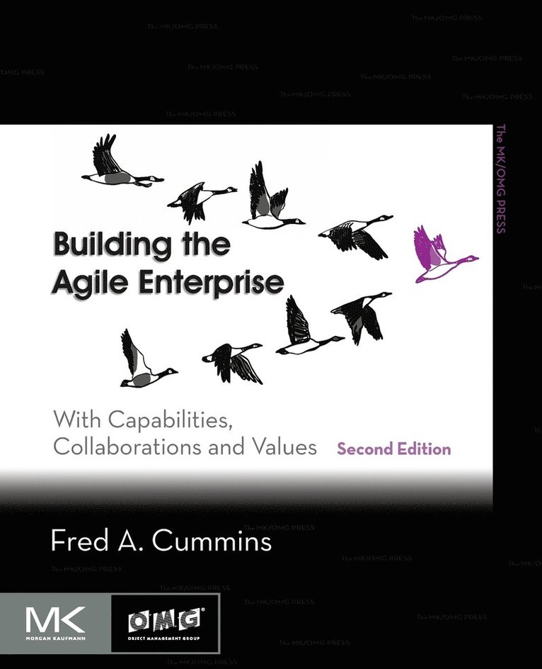 Building the Agile Enterprise 1