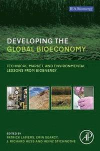 bokomslag Developing the Global Bioeconomy