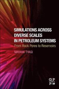 bokomslag Simulations Across Diverse Scales in Petroleum Systems