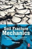 bokomslag Soil Fracture Mechanics: Understanding Crack Propagation and Interaction in Soil Failure