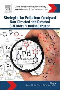 bokomslag Strategies for Palladium-Catalyzed Non-directed and Directed C bond H Bond Functionalization