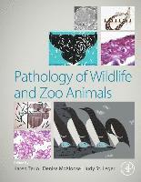 bokomslag Pathology of Wildlife and Zoo Animals