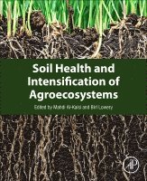 Mahdi M. Al-Kaisi, Birl Lowery - Soil Health and Intensification of Agroecosystems, Häftad