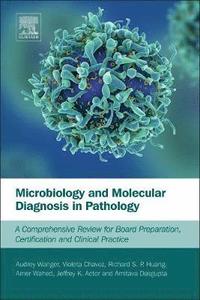 bokomslag Microbiology and Molecular Diagnosis in Pathology