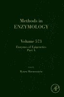 bokomslag Enzymes of Epigenetics