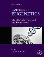 bokomslag Handbook of Epigenetics