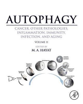 bokomslag Autophagy: Cancer, Other Pathologies, Inflammation, Immunity, Infection, and Aging