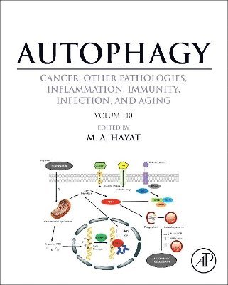 bokomslag Autophagy: Cancer, Other Pathologies, Inflammation, Immunity, Infection, and Aging